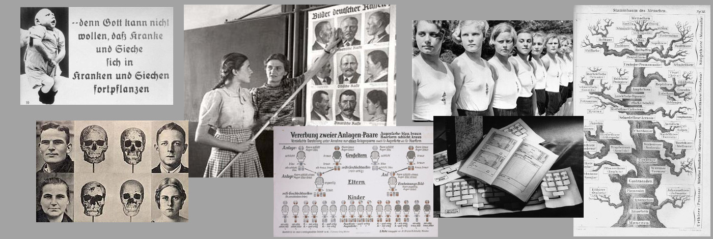 Examples of Nazi Social Darwinist education propaganda.